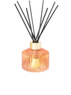 Le Diffuseur Tuileries